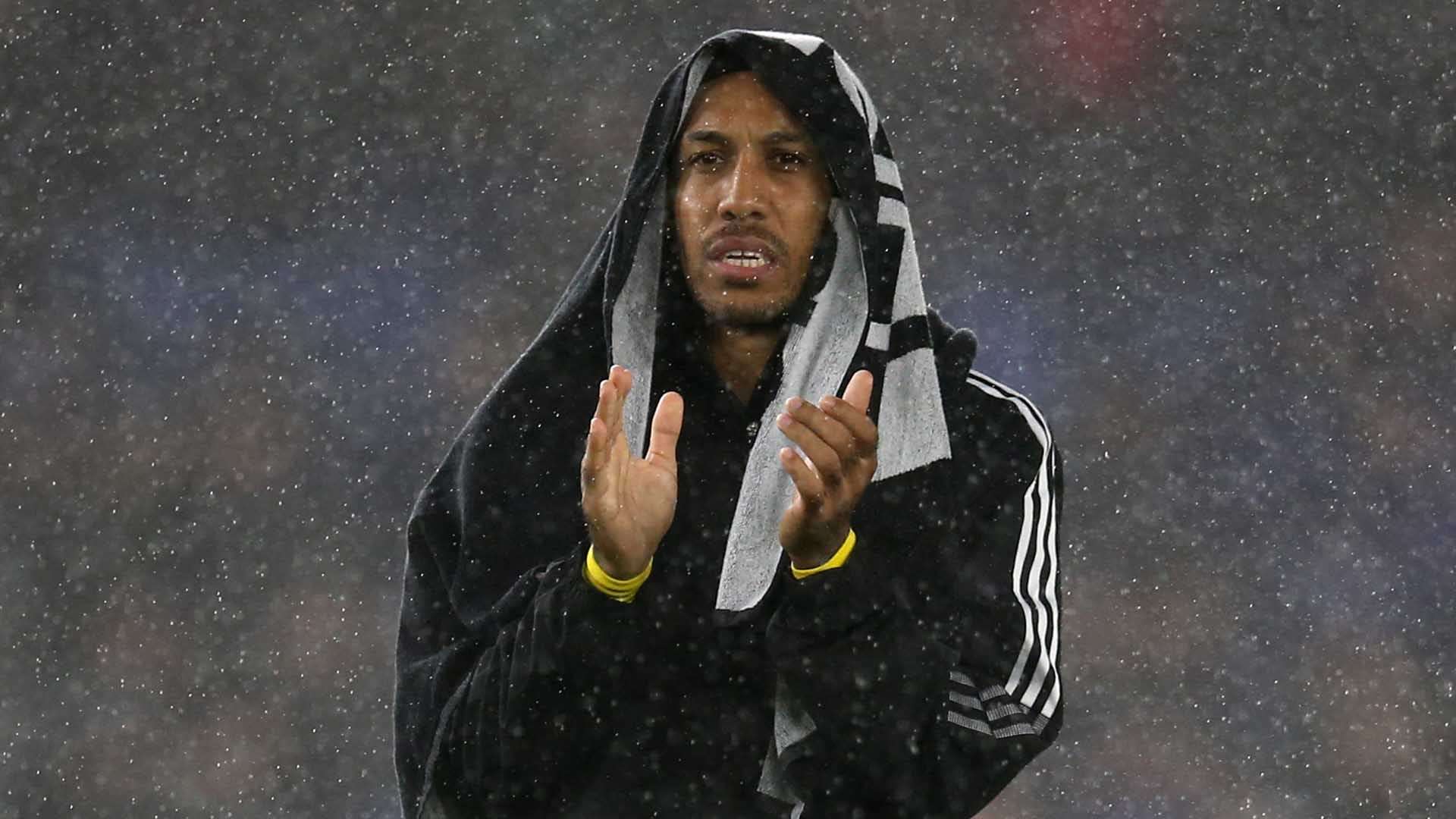 更是智慧的 更是智慧的