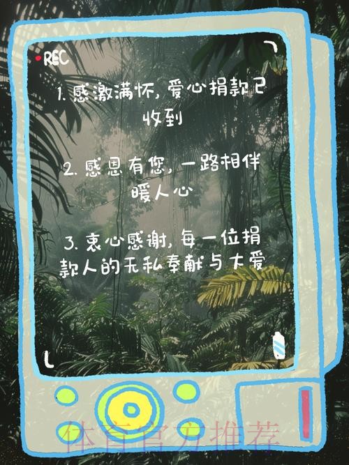 贝林厄姆:感谢为我投票和一路支持我的人 贝林厄姆:感谢为我投票和一路支持我的人